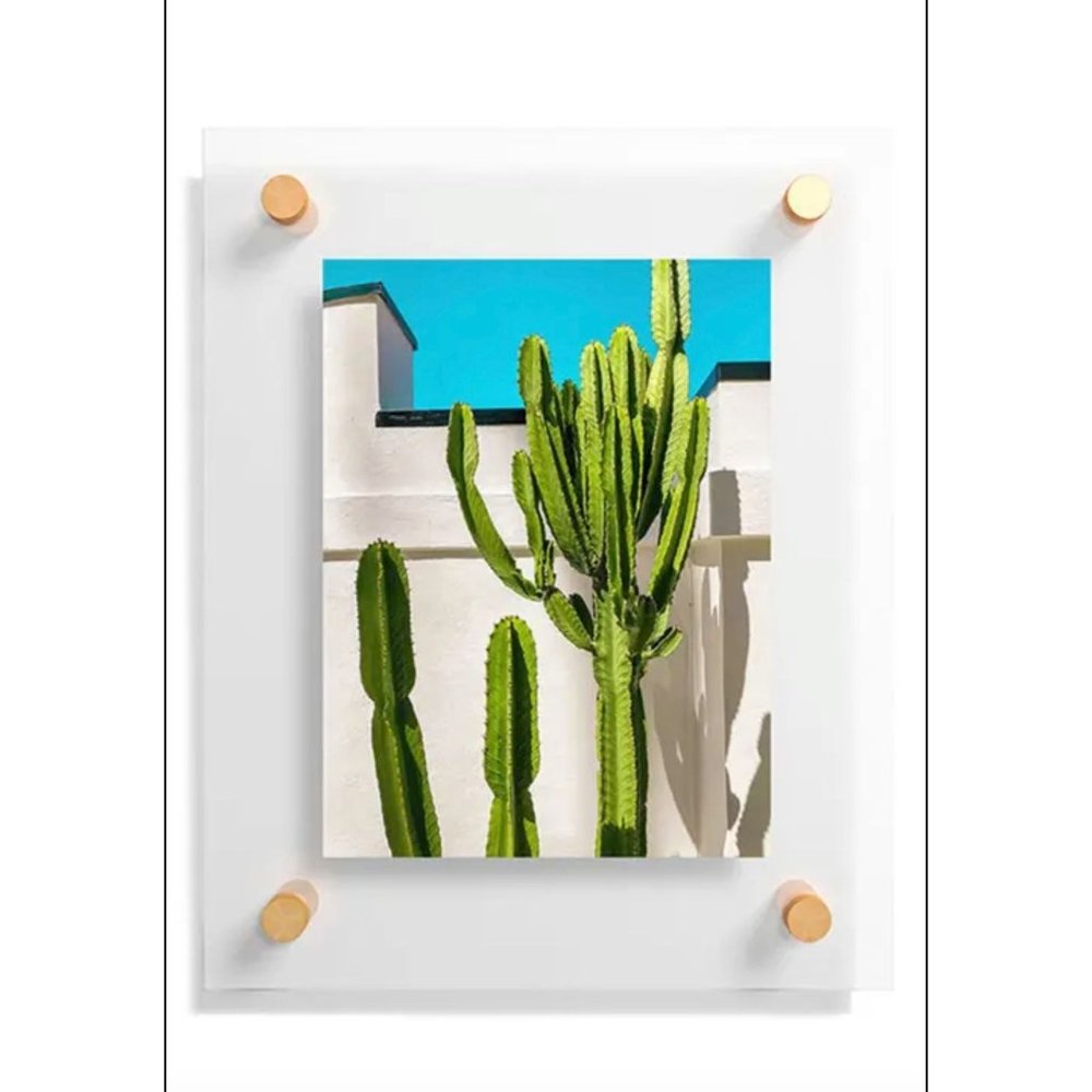 NWT Deny Designs South Pasadena Cactus Floating Frame Art Print by Jeff Mindell